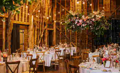 Binkynixonphotography LHWED474