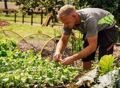 TFH Garden To Glass 19